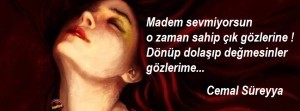 Cemal Süreyya -Yazı Aölyesi- Sözleri - şiirleri- (3)