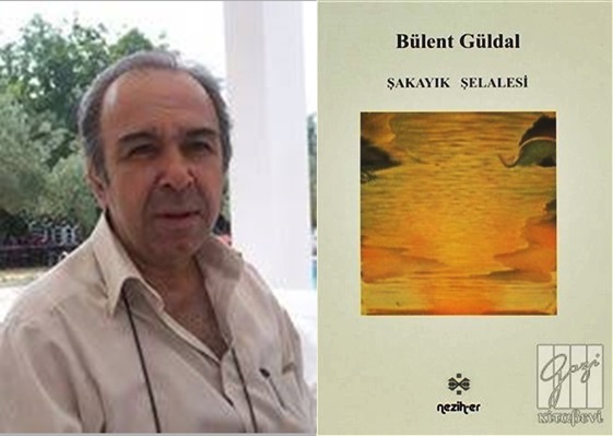 Silah ve Yasa | Bülent Güldal