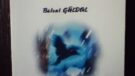 “Yağmurkuşunun Türküsü”  Kitabından | Bülent Güldal