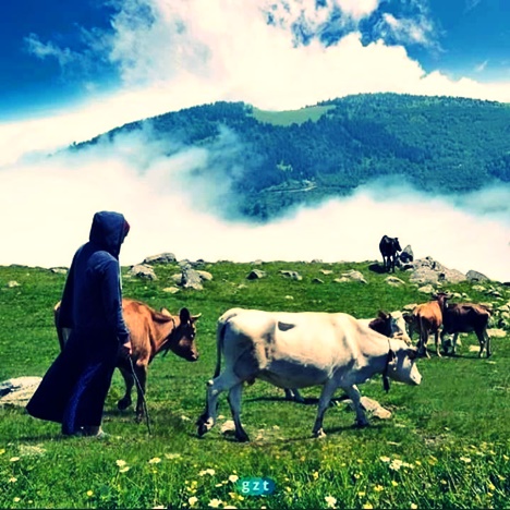 Yangın | Cevdet Vural