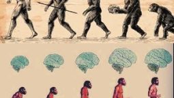 Homo Heidelbergensis’ten sonra dünya evrimi | İbrahim Uysal 