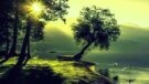 Günün Hikayesi | Bir Ağaç Gölgesi |  Aycan Dinç Bozok