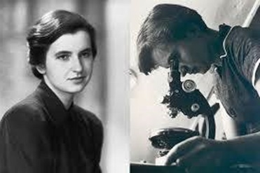 Yaratım İcadı, Keşfin Gizli Tarihi | Rosalind Franklin